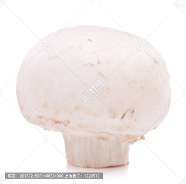 香菇蘑菇