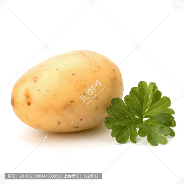新土豆綠歐芹