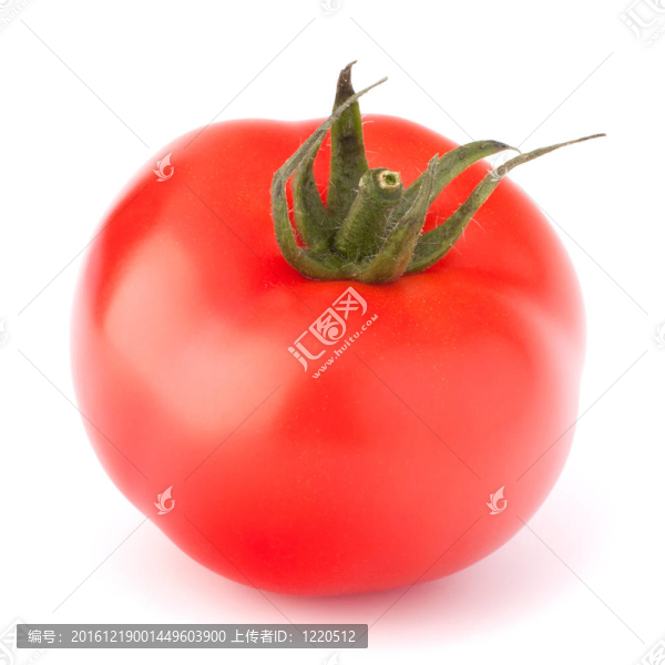 番茄蔬菜