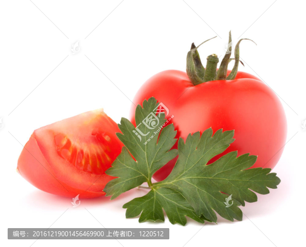 番茄蔬菜和歐芹葉仍然生活