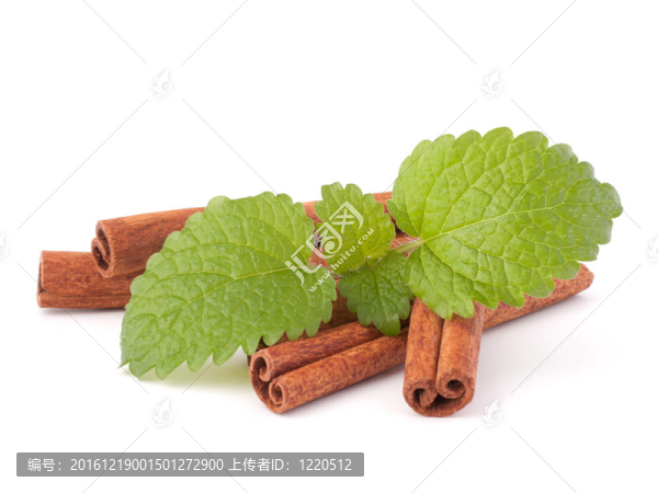 肉桂枝和新鮮薄荷葉