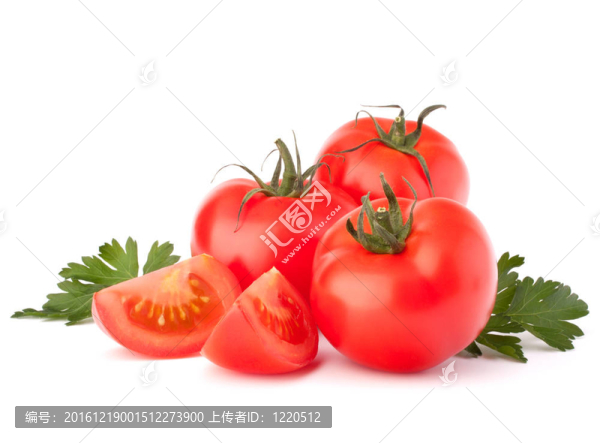 番茄蔬菜和歐芹葉仍然生活