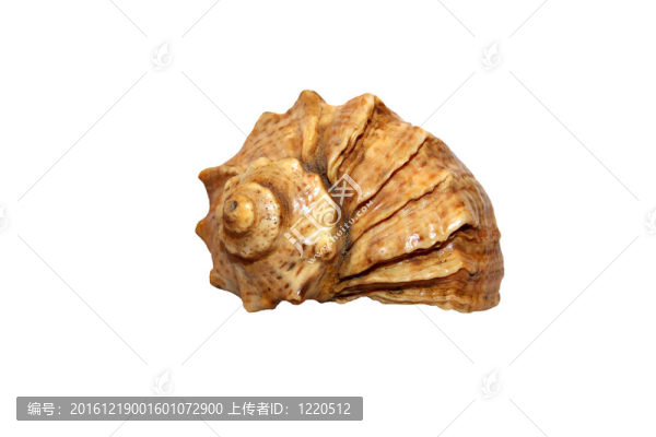 輕舟