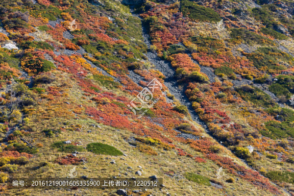 五彩山