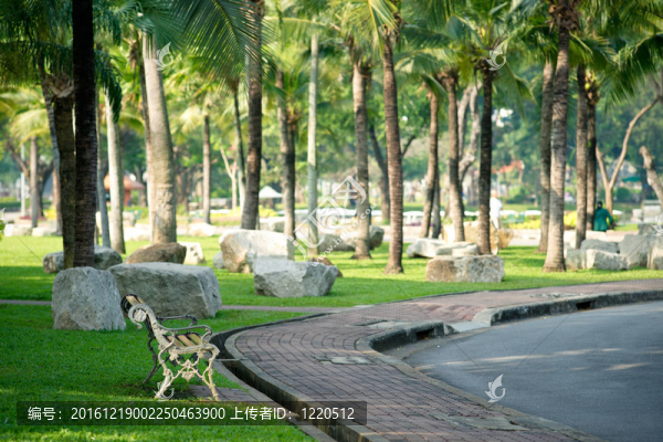 在Lumphini公園的長椅上