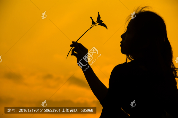 美女剪影