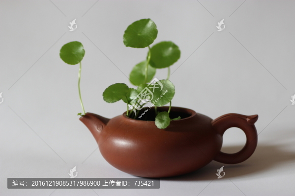 插花藝術(shù)