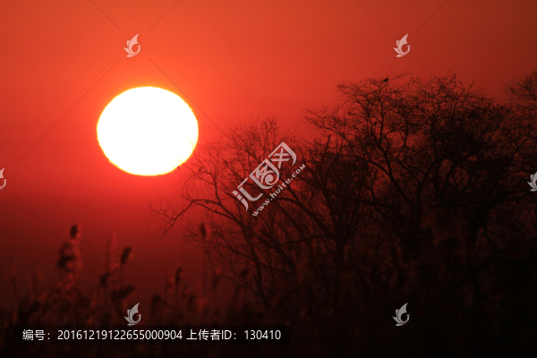 濕地晨韻