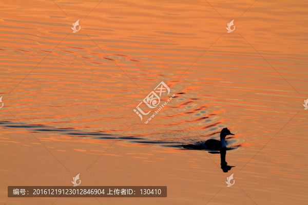 鳳頭??
