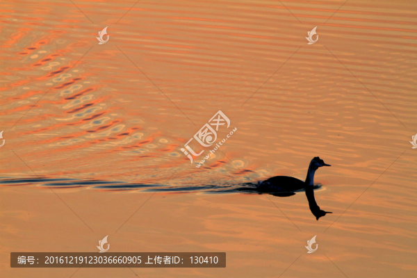 鳳頭??
