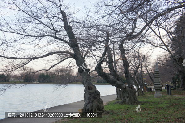 美國風(fēng)光