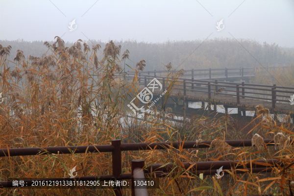 濕地公園