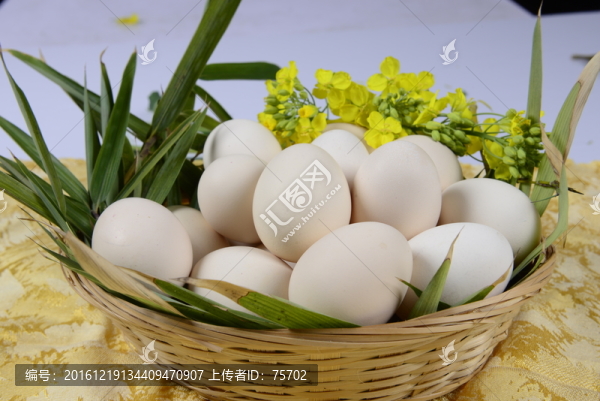 鮮蛋,鴨蛋,生蛋,生鴨蛋