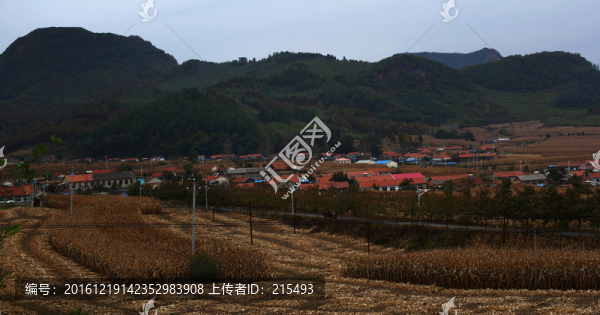 北方,山村,秋色,大圖