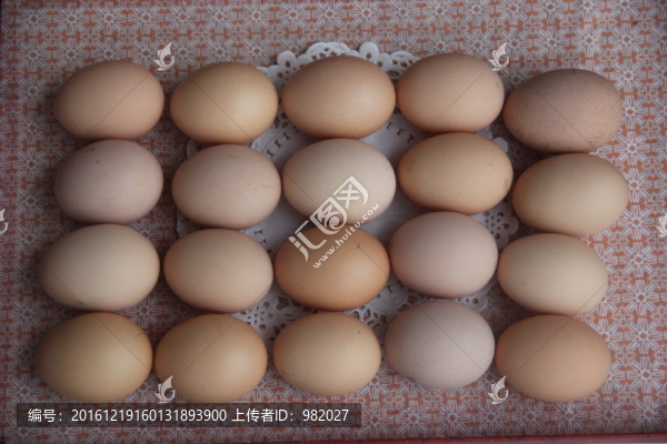 雞蛋
