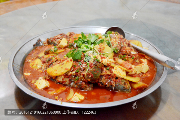 大理海稍魚