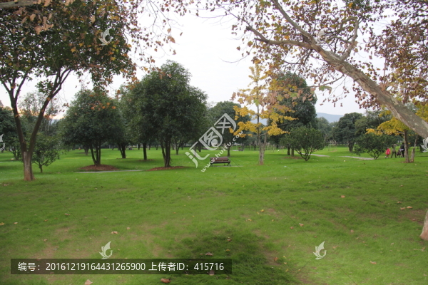 公園