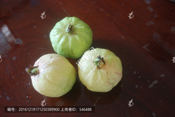石榴