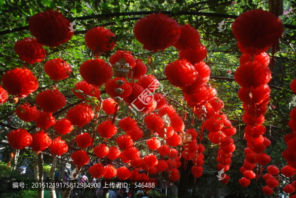 彩燈籠