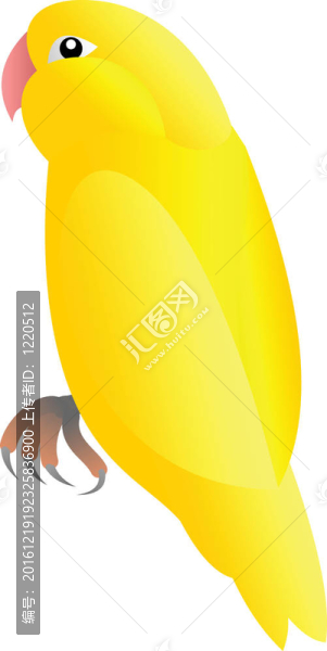 金翅雀