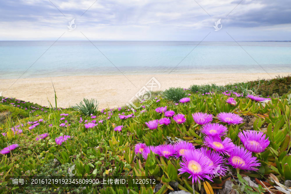 希臘愛琴海海岸