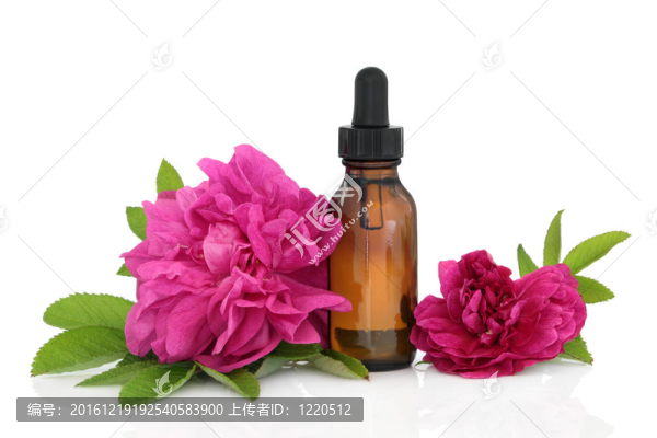 玫瑰精華