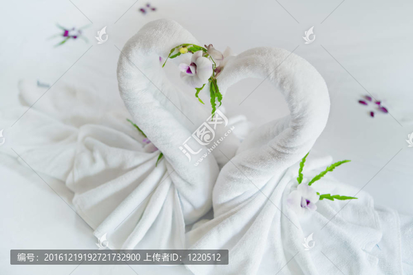 天鵝