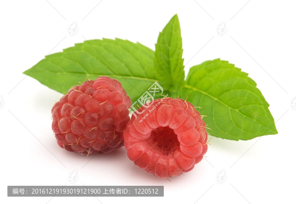 覆盆子和薄荷
