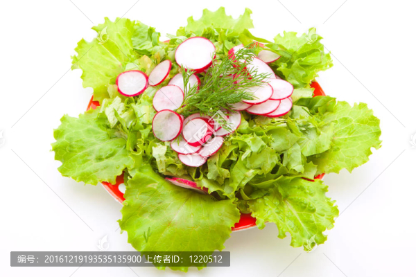 蘿卜和新鮮的lattuk