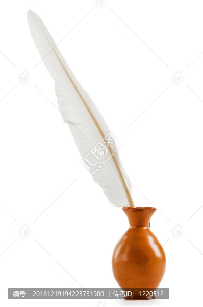 寫在白色背景上的羽毛