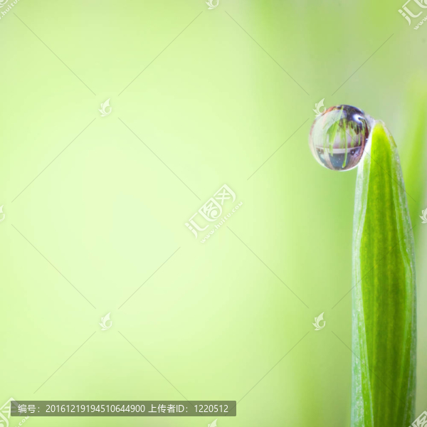 水滴