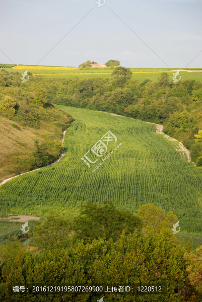 在夏朗德的鄉(xiāng)村景觀