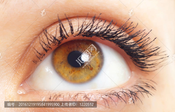 女人的眼睛