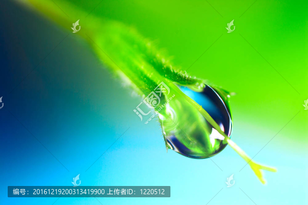 水滴