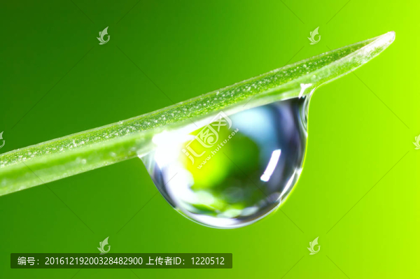 水滴