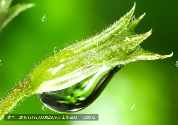 水滴