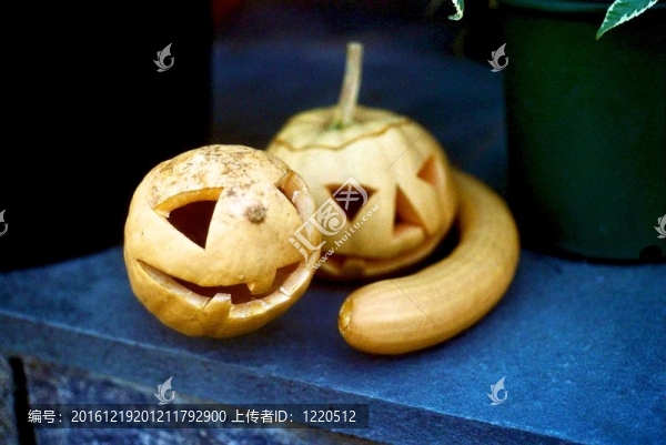 南瓜葫蘆；波山；NY