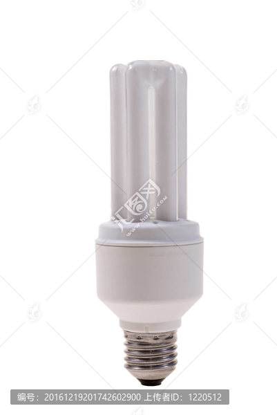 電燈泡