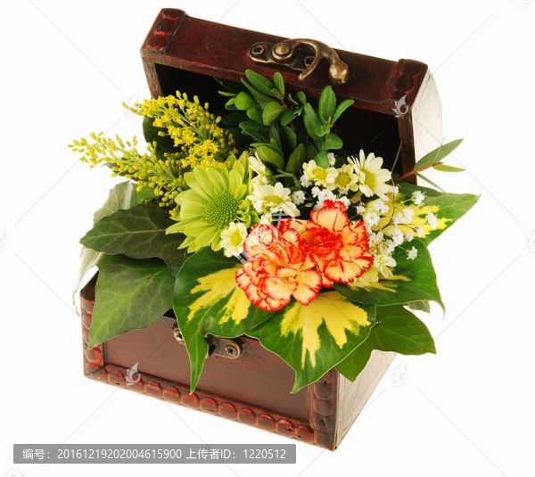 胸前的花