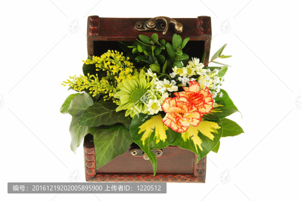胸前的花