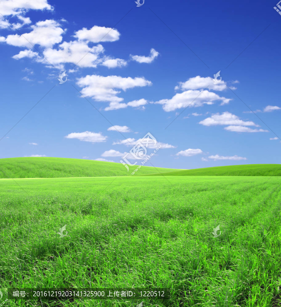 美麗的風(fēng)景