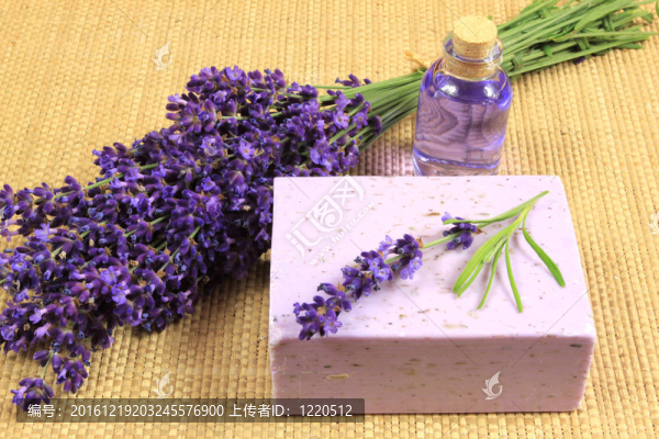薰衣草SPA