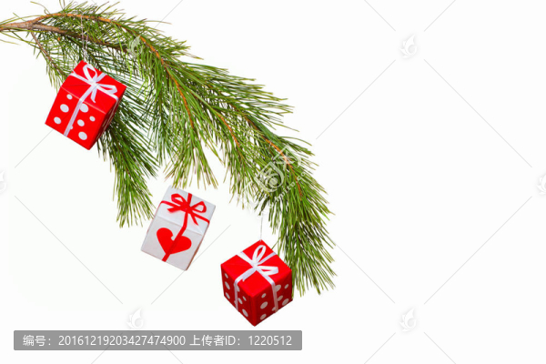 圣誕樹裝飾的圣誕樹的樹枝