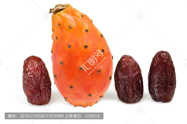 仙人球棗