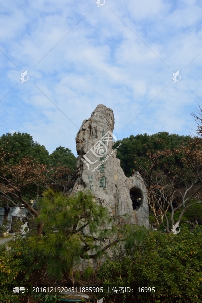 南京古林公園