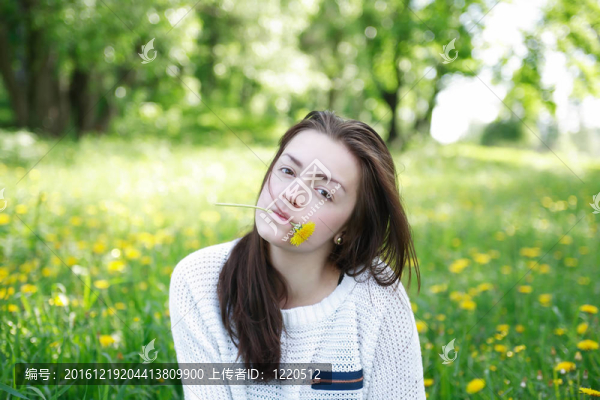 女孩與蒲公英