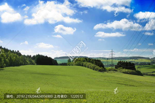 夏季綠地景觀