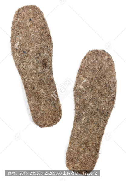 覺得白底鞋墊