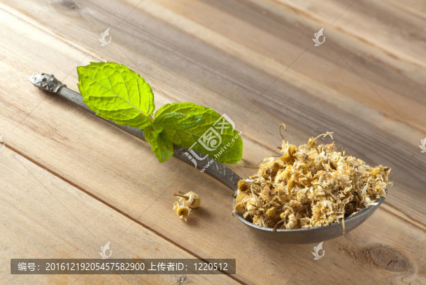 甘菊
