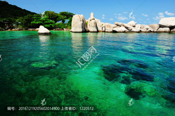 綠色的海景
